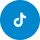 tiktok icon